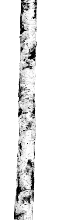 Cotto D'este Wonderwall Ritmi 01 naturalna 100x300 cm gr. 4 mm